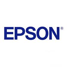 EPSON PAD (PED) HATASI